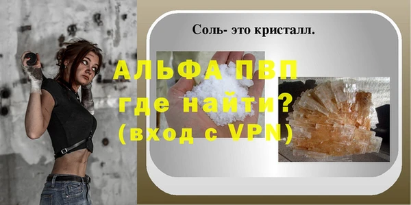 PSILOCYBIN Аркадак