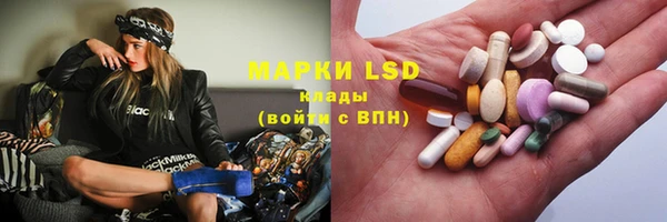 PSILOCYBIN Аркадак