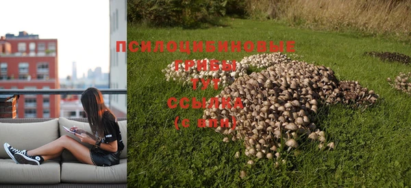 гашишное масло Ростов
