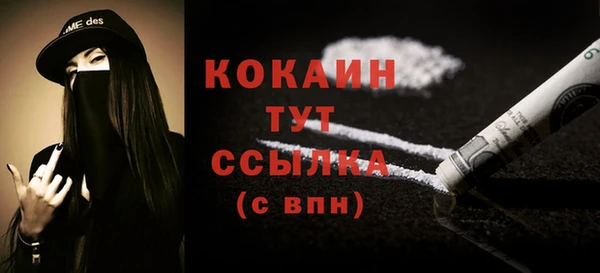 PSILOCYBIN Аркадак