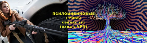 дмт Армянск