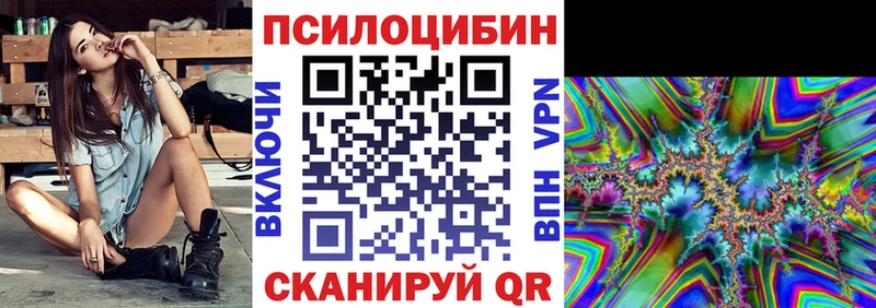 дарк нет как зайти где купить наркоту Асино Псилоцибиновые грибы ЛСД